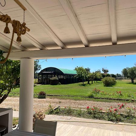 Villa Olga Tarquinia Bagian luar foto