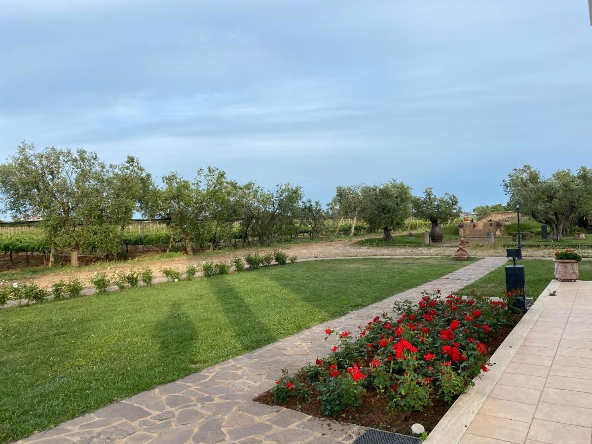 Villa Olga Tarquinia Bagian luar foto