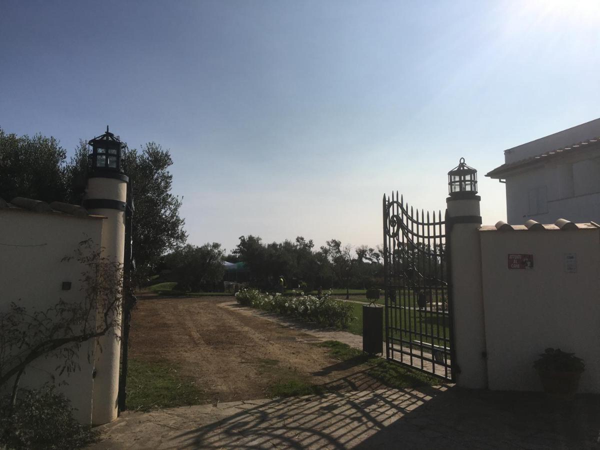 Villa Olga Tarquinia Bagian luar foto