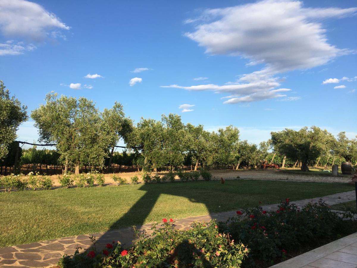 Villa Olga Tarquinia Bagian luar foto