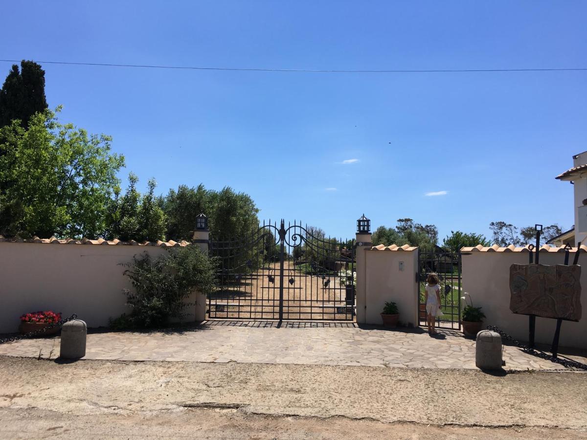 Villa Olga Tarquinia Bagian luar foto