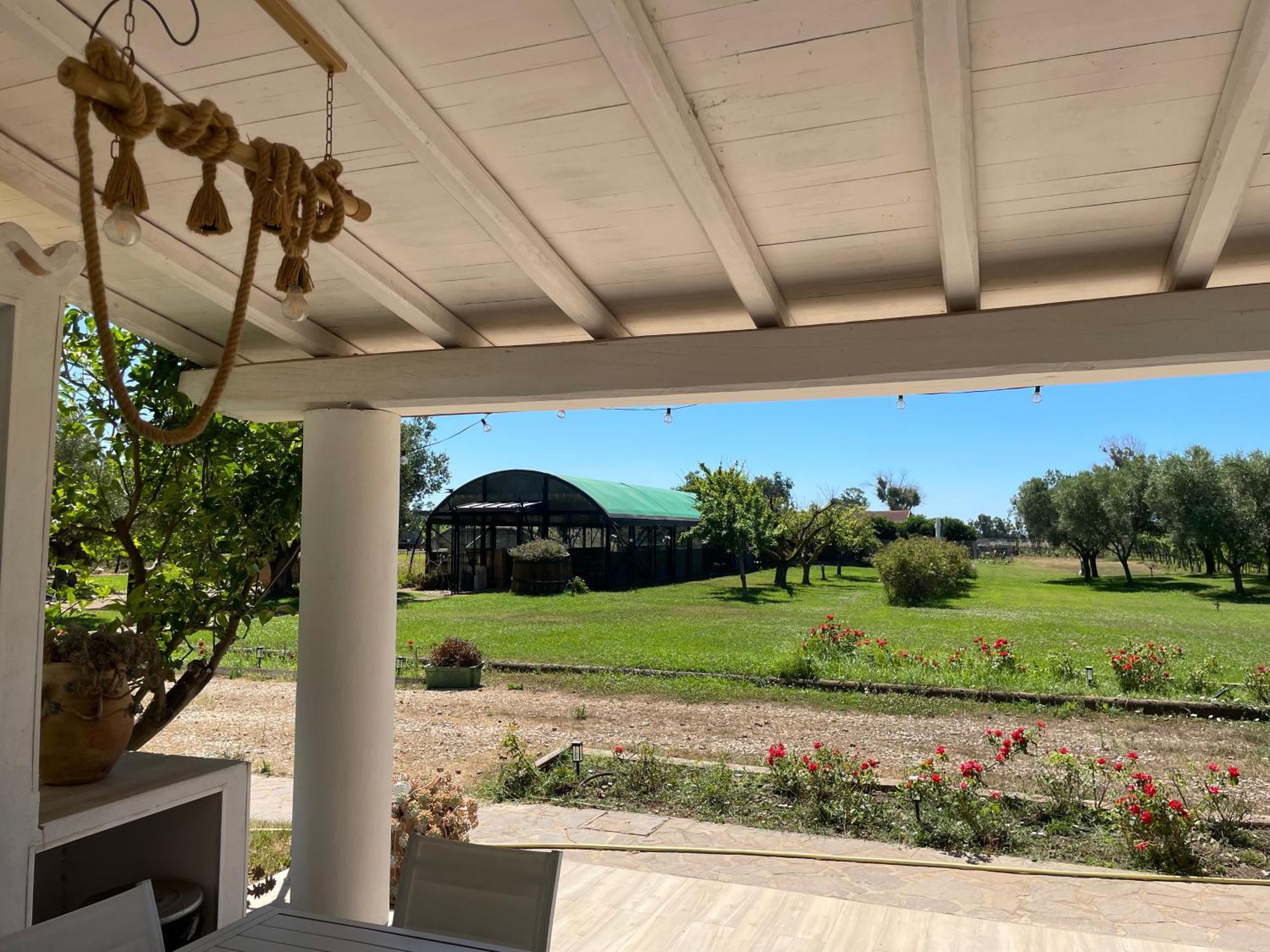 Villa Olga Tarquinia Bagian luar foto