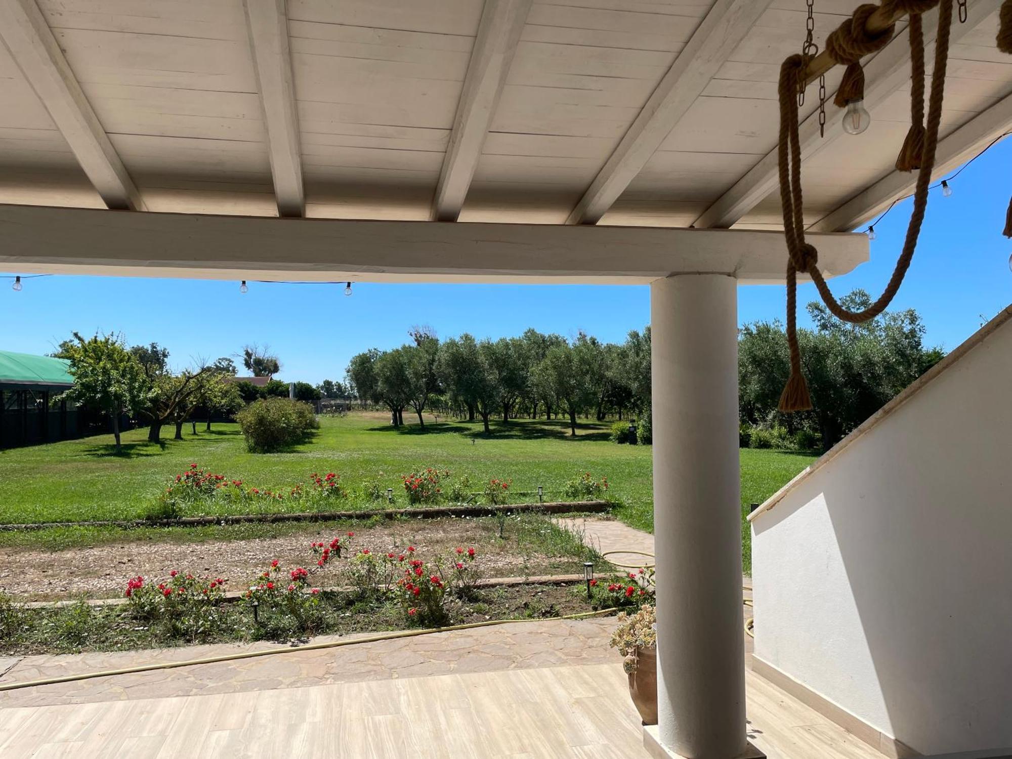 Villa Olga Tarquinia Bagian luar foto