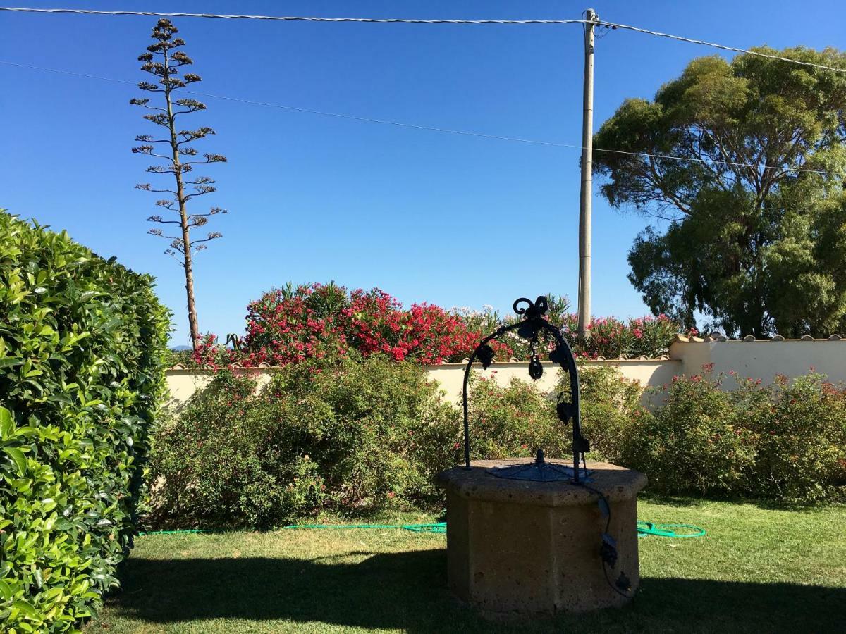 Villa Olga Tarquinia Bagian luar foto