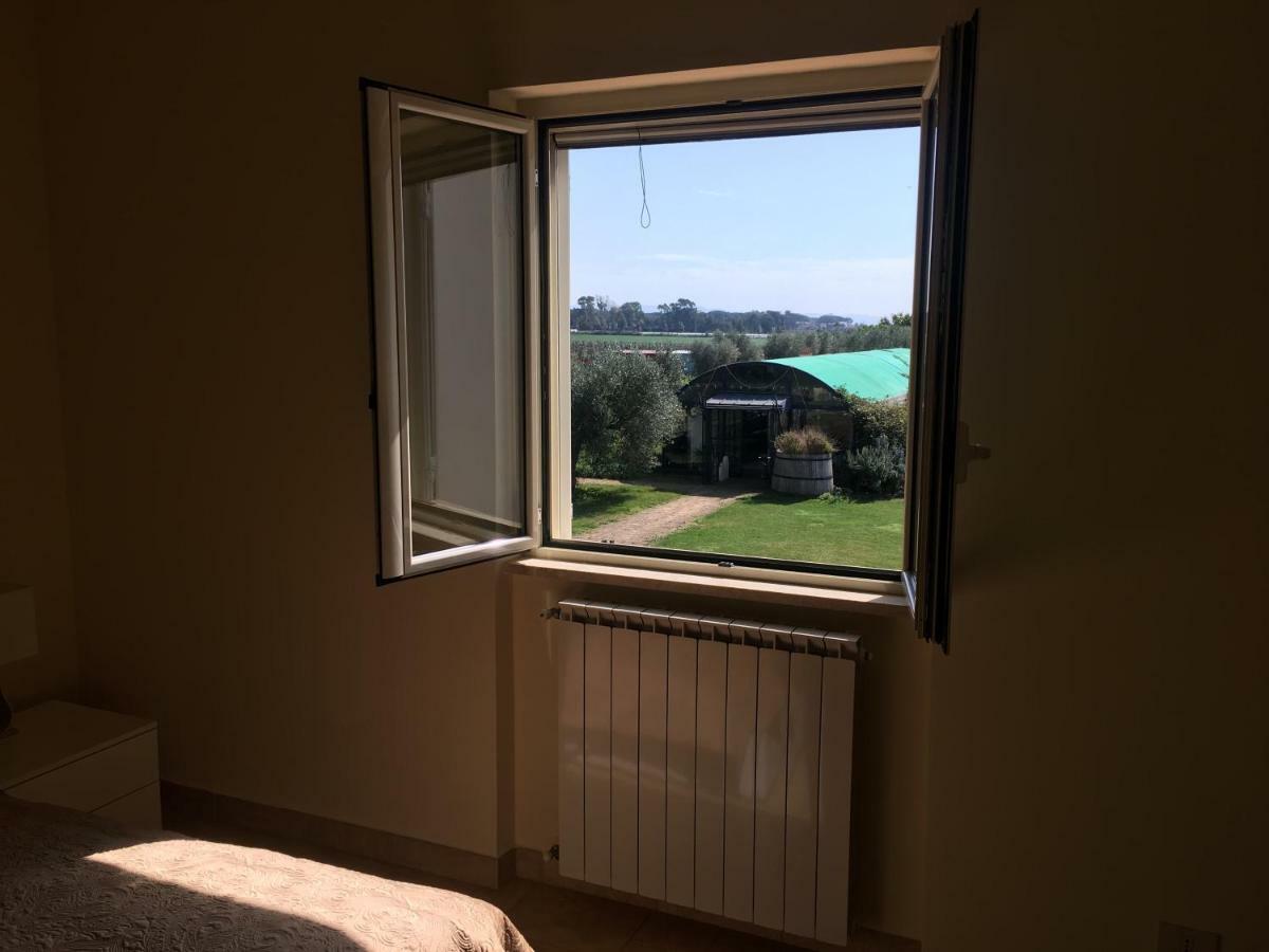Villa Olga Tarquinia Bagian luar foto
