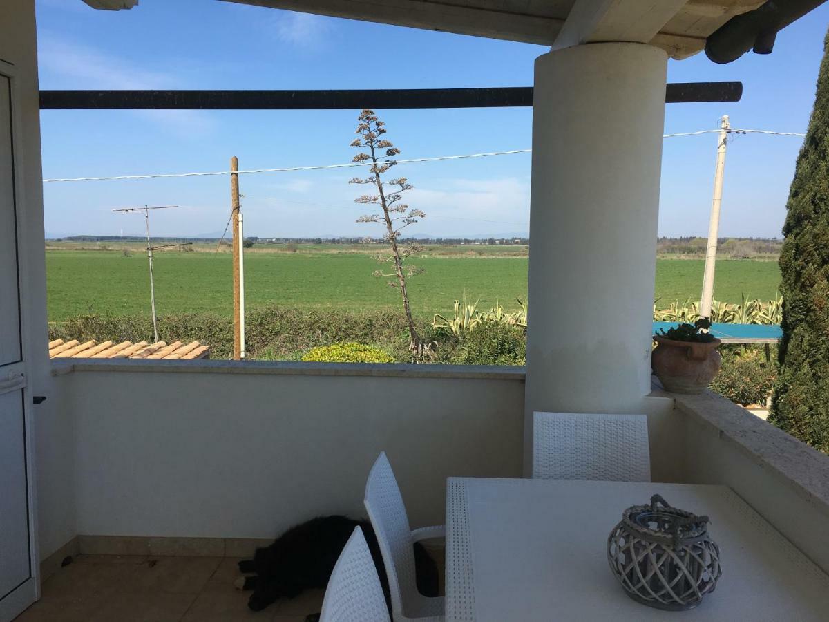 Villa Olga Tarquinia Bagian luar foto