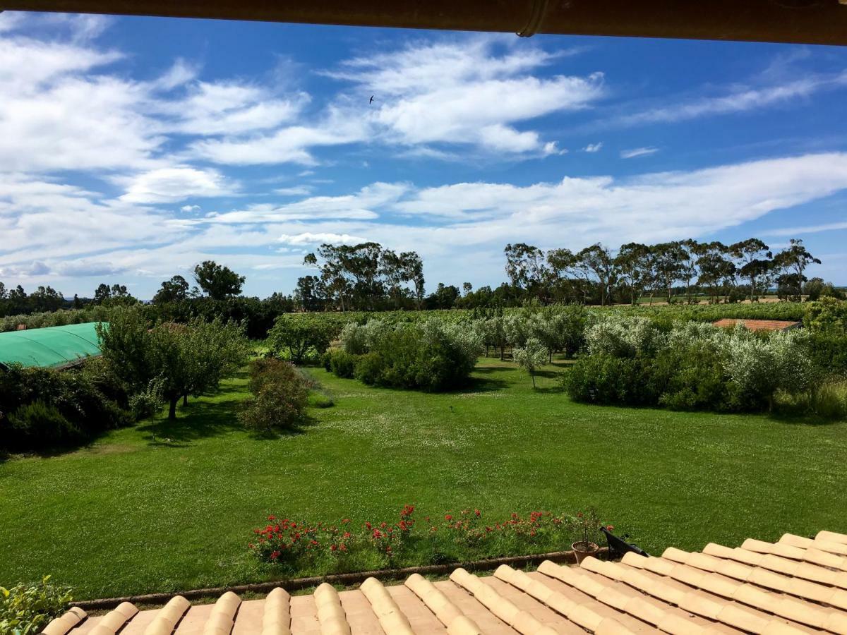 Villa Olga Tarquinia Bagian luar foto