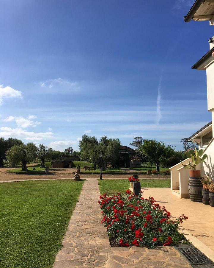 Villa Olga Tarquinia Bagian luar foto